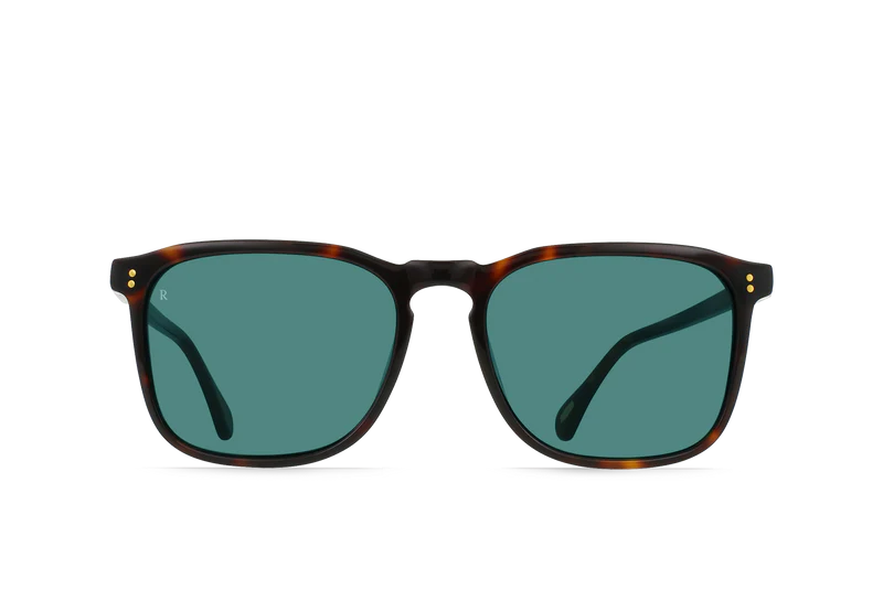 RAEN | Wiley Kola Tortoise/Pacifica | Brown