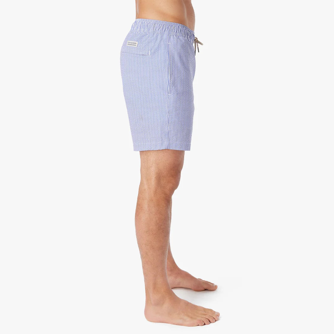 The Bayberry Trunk