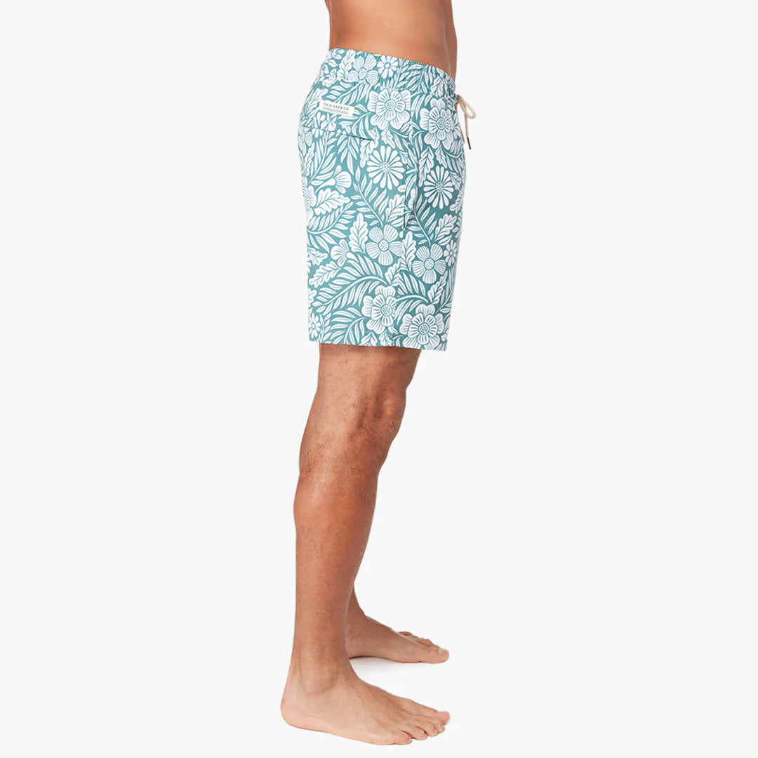 The Bayberry Trunk
