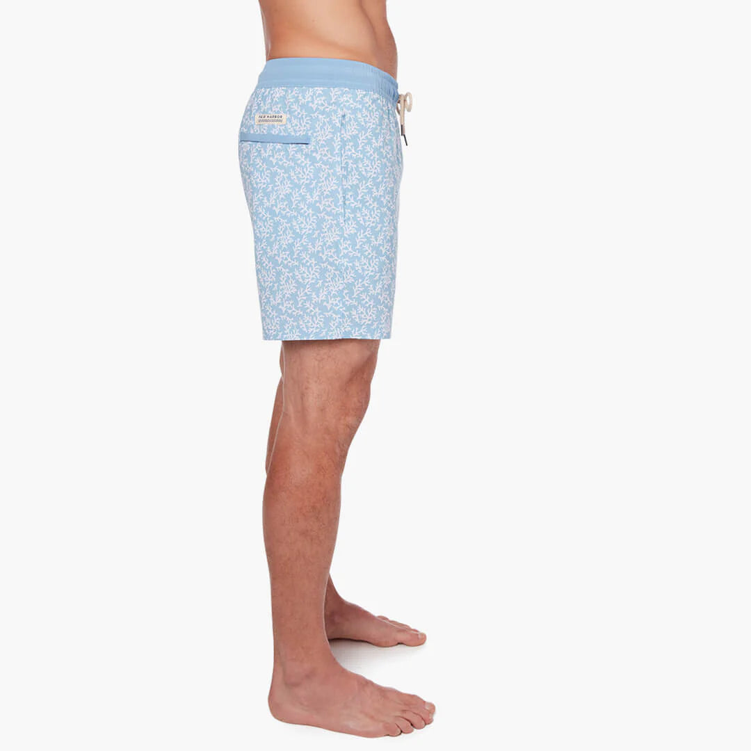 The Bayberry Trunk