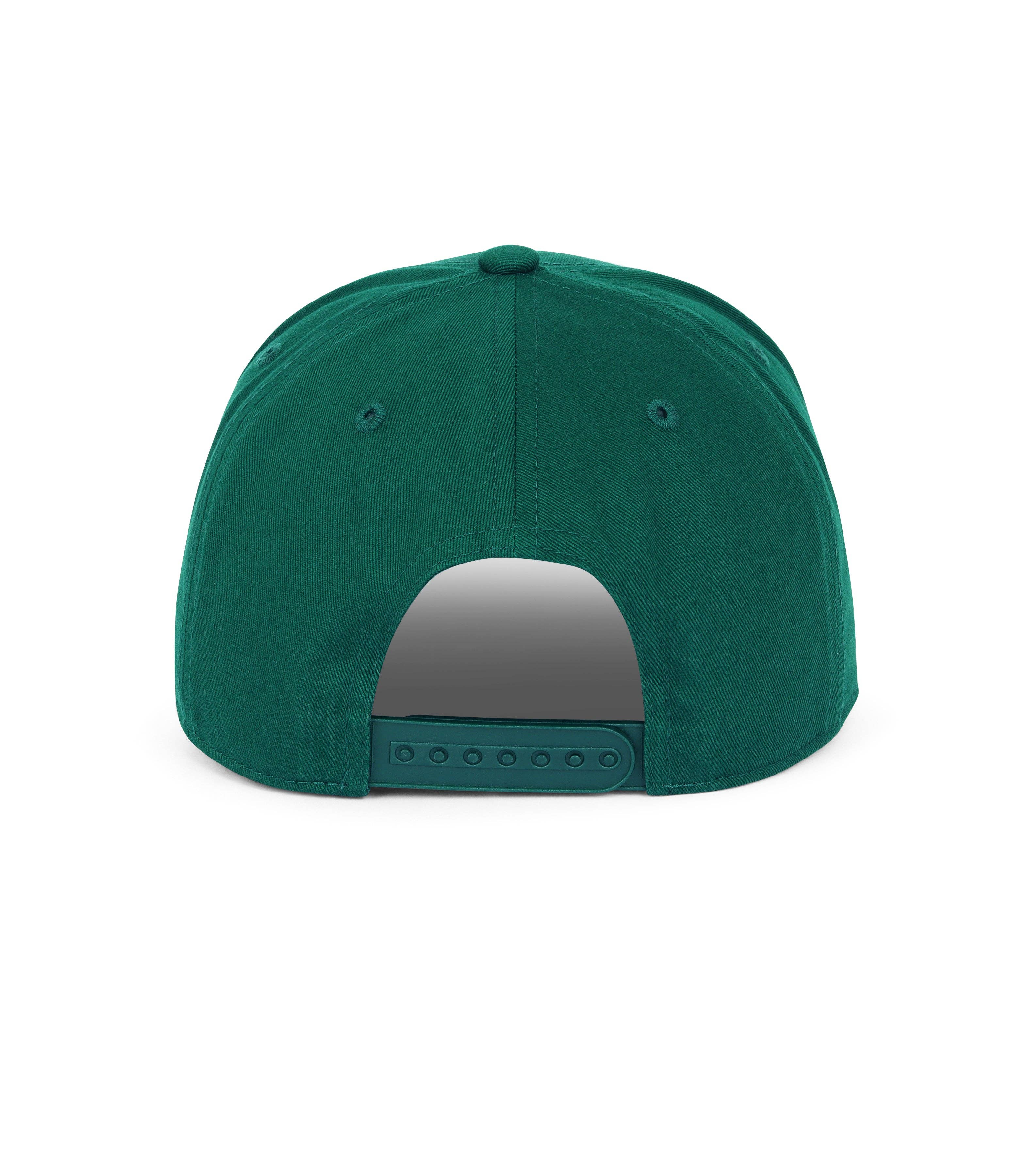 Dad Snapback
