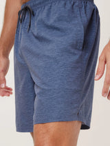 Heathered Hybrid Shorts